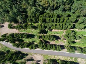 Niseko Annupuri Residences - Lot 4