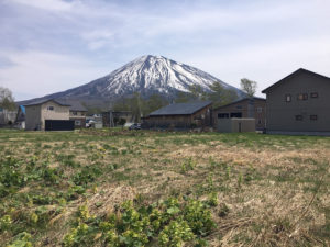 Mt Yotei View Plot 