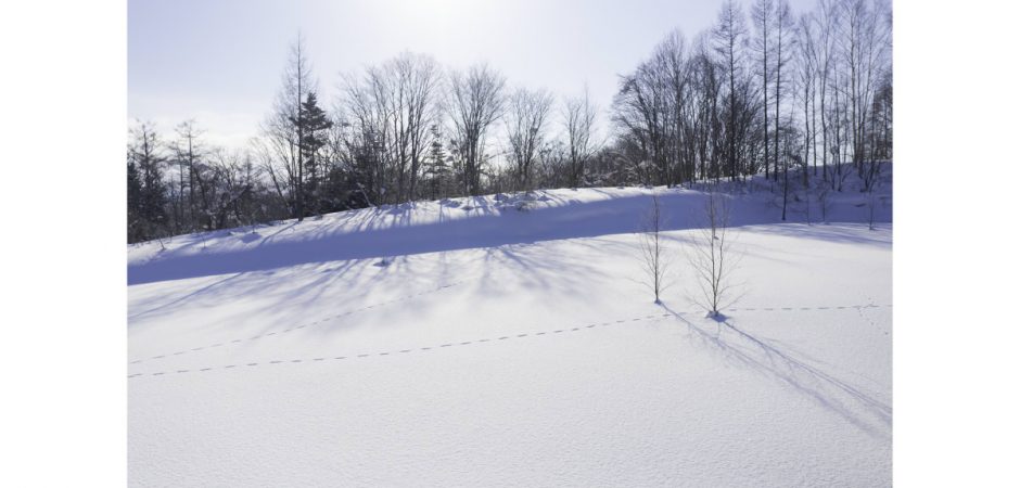 Niseko Supreme View Land ｜ Niseko Property