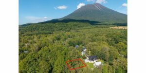 Central Kondo 748 Sqm Land