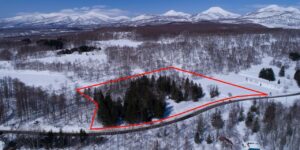 レア・デヴェロップメント・オポチュニティ・ブロック