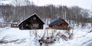 Hirafu Station Log Homes