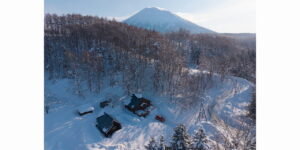 Hirafu Station Log Homes