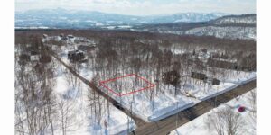 Royal Town 303 Tsubo Land