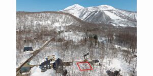 Soga Forest Yotei Views B